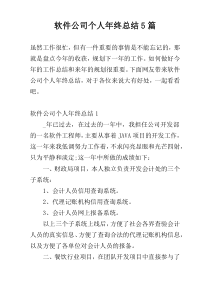 软件公司个人年终总结5篇