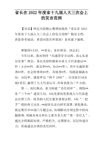 省长在2022年度省十九届人大三次会上的发言范例