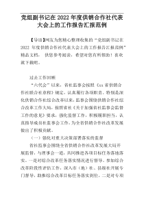 党组副书记在2022年度供销合作社代表大会上的工作报告汇报范例