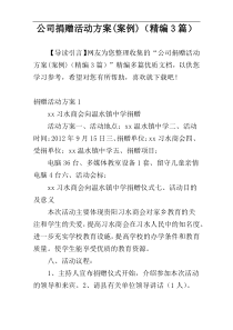 公司捐赠活动方案(案例)（精编3篇）