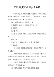 2022年度团小组会议总结