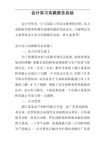 会计实习实践报告总结