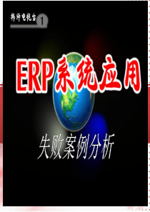 ERP失败案例分析