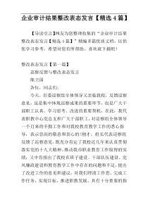 企业审计结果整改表态发言【精选4篇】