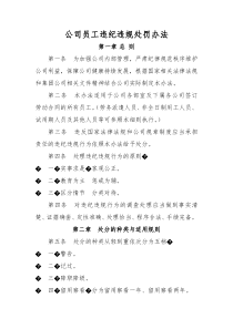 公司员工违纪违规处罚办法（DOC31页）