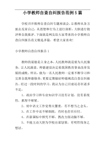 小学教师自查自纠报告范例5篇