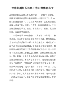 巡察组副组长巡察工作心得体会范文