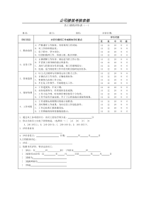 公司绩效考核表格