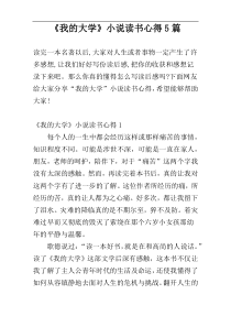 《我的大学》小说读书心得5篇