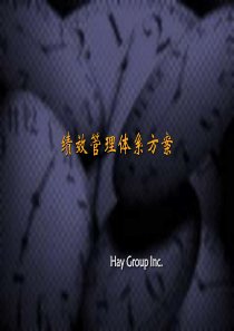 合益HayGroup绩效管理体系方案