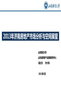 济南房地产研究资料