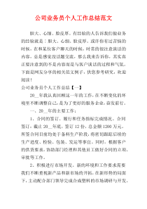 公司业务员个人工作总结范文