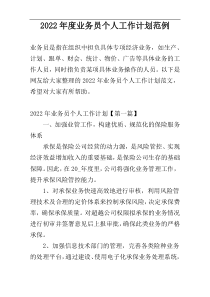 2022年度业务员个人工作计划范例