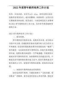 2022年度青年教师培养工作计划