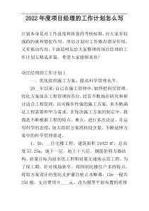 2022年度项目经理的工作计划怎么写