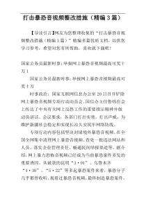 打击暴恐音视频整改措施（精编3篇）