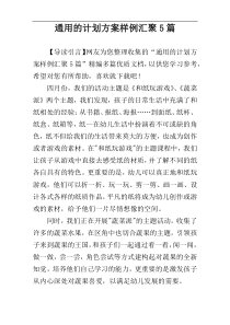 通用的计划方案样例汇聚5篇