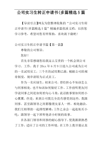 公司实习生转正申请书(多篇精选5篇