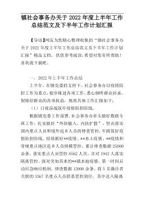 镇社会事务办关于2022年度上半年工作总结范文及下半年工作计划汇报