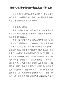 分公司领导干部任职表态发言材料范例