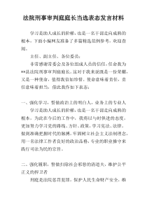 法院刑事审判庭庭长当选表态发言材料