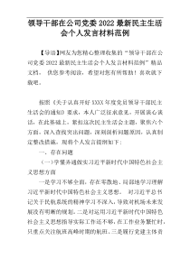 领导干部在公司党委2022最新民主生活会个人发言材料范例