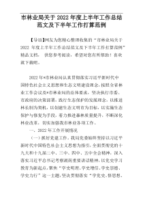 市林业局关于2022年度上半年工作总结范文及下半年工作打算范例