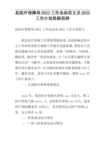 县医疗保障局2022工作总结范文及2022工作计划思路范例