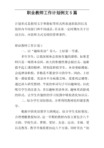 职业教师工作计划例文5篇