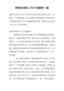 销售经理的工作计划最新5篇