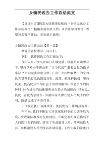 乡镇民政办工作总结范文