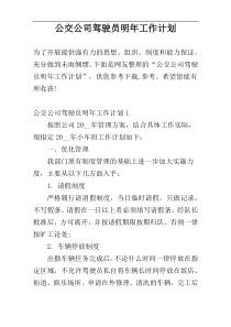 公交公司驾驶员明年工作计划