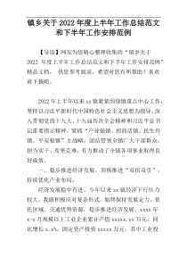 镇乡关于2022年度上半年工作总结范文和下半年工作安排范例