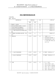 岗位关键考核指标设定表（统计）(1)