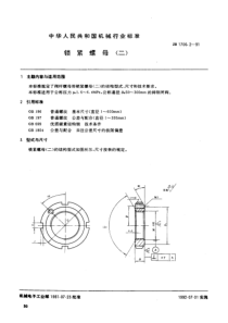 JB1700.2-1991_锁紧螺母(二)