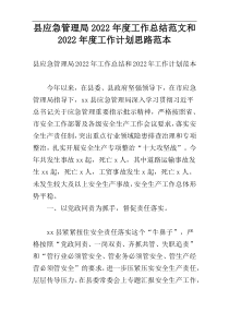 县应急管理局2022年度工作总结范文和2022年度工作计划思路范本