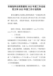 市规划和自然资源局2022年度工作总结范文和2022年度工作计划范例