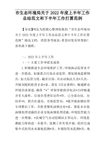 市生态环境局关于2022年度上半年工作总结范文和下半年工作打算范例