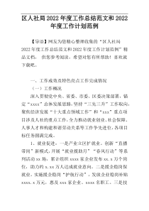 区人社局2022年度工作总结范文和2022年度工作计划范例