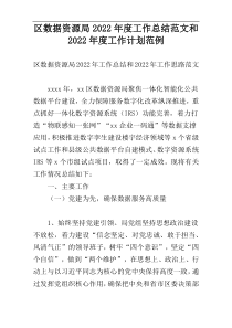 区数据资源局2022年度工作总结范文和2022年度工作计划范例