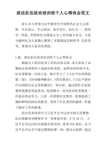 政法队伍政治培训班个人心得体会范文