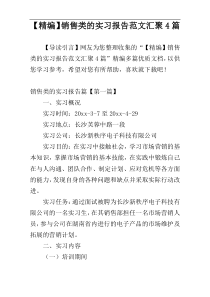 【精编】销售类的实习报告范文汇聚4篇