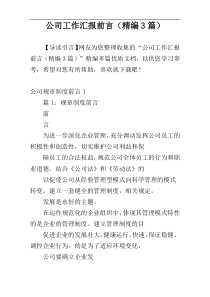 公司工作汇报前言（精编3篇）