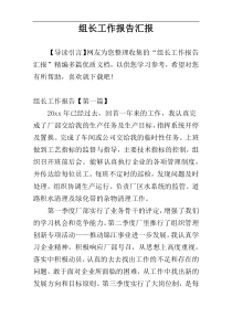 组长工作报告汇报