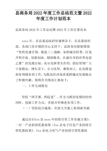 县商务局2022年度工作总结范文暨2022年度工作计划范本