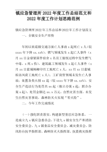 镇应急管理所2022年度工作总结范文和2022年度工作计划思路范例