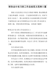 财务会计实习的工作总结范文范例5篇