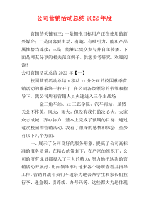 公司营销活动总结2022年度