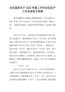 乡应急所关于2022年度上半年安全生产工作总结范文范例