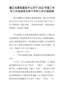 镇公共事务服务中心关于2022年度上半年工作总结范文和下半年工作计划范例